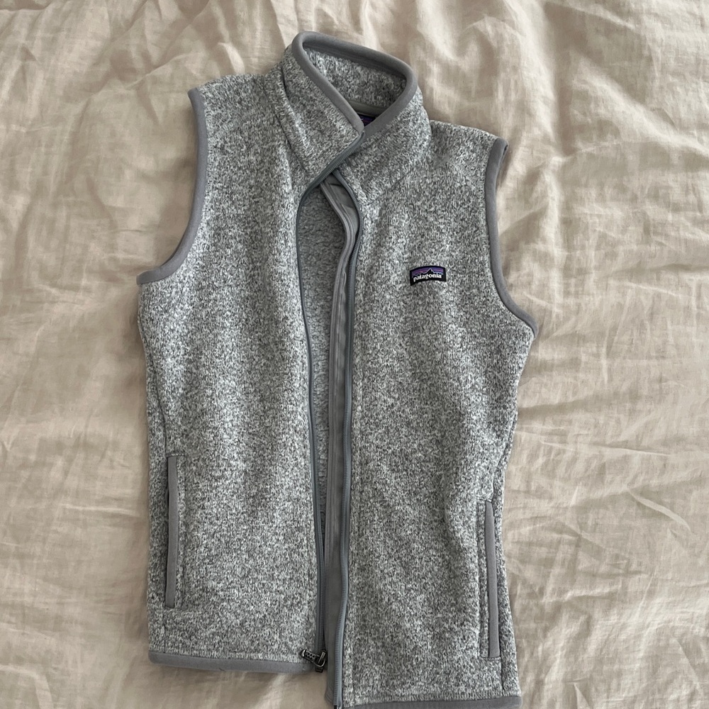 Patagonia Light Gray Fleece Vest
